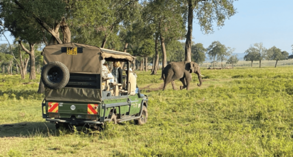 Impact Journeys Explained: Travel That Changes Lives