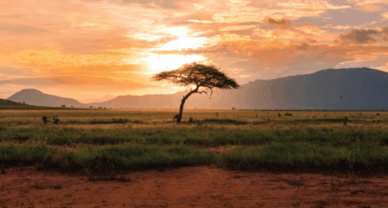 Turning Intentions Into Impact: Kenyan Partners Driving Change
